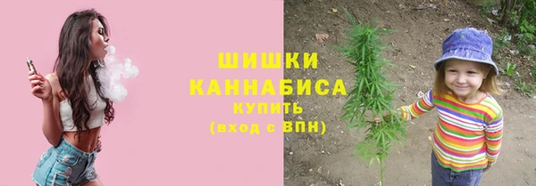 сатива Арсеньев
