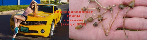 гидропоника Армянск