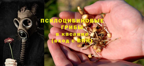 сатива Арсеньев